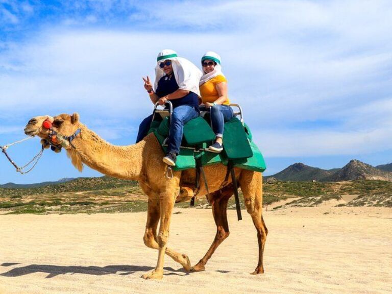 Cabo Camel Ride Experience