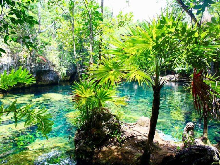 Tulaka Cenote Experience