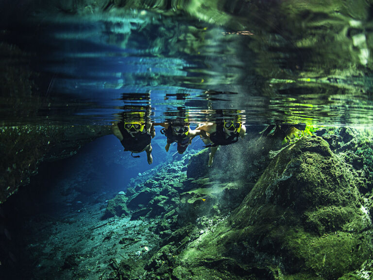 Native Park Tulum with Zipline & Cenote Snorkeling Tour