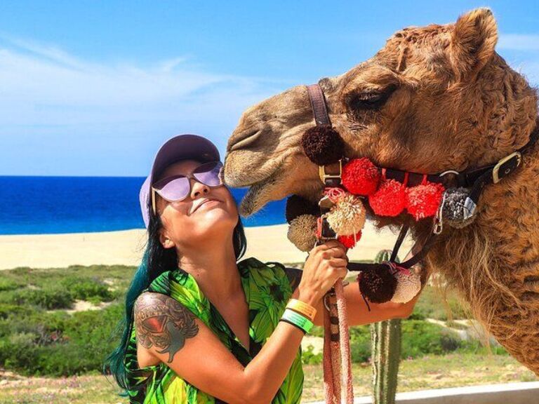 Camel Ride and ATV Combo Adventure in Los Cabos