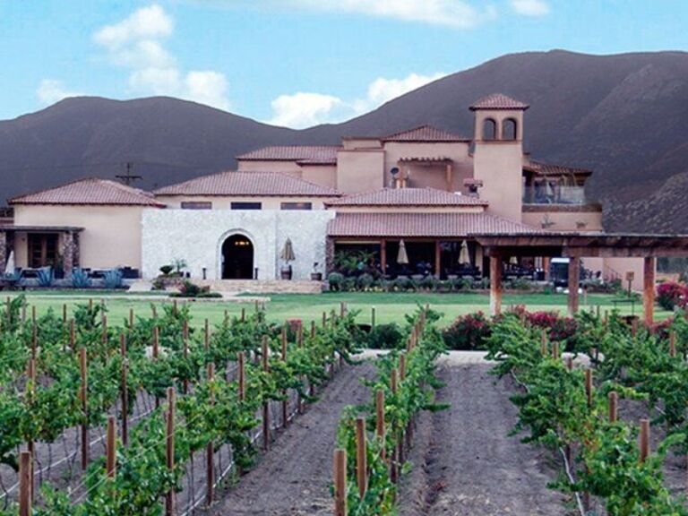 Wine Tasting and Carriage Tour at Premium Winery at Valle de Guadalupe