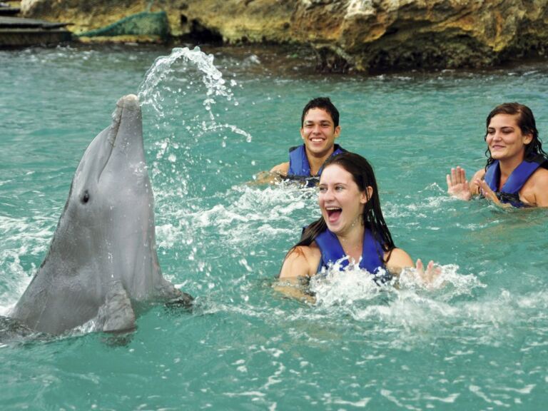 Dolphin Xtreme From Riviera Maya