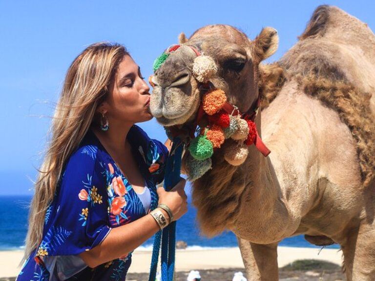 Cabo Camel Ride Experience