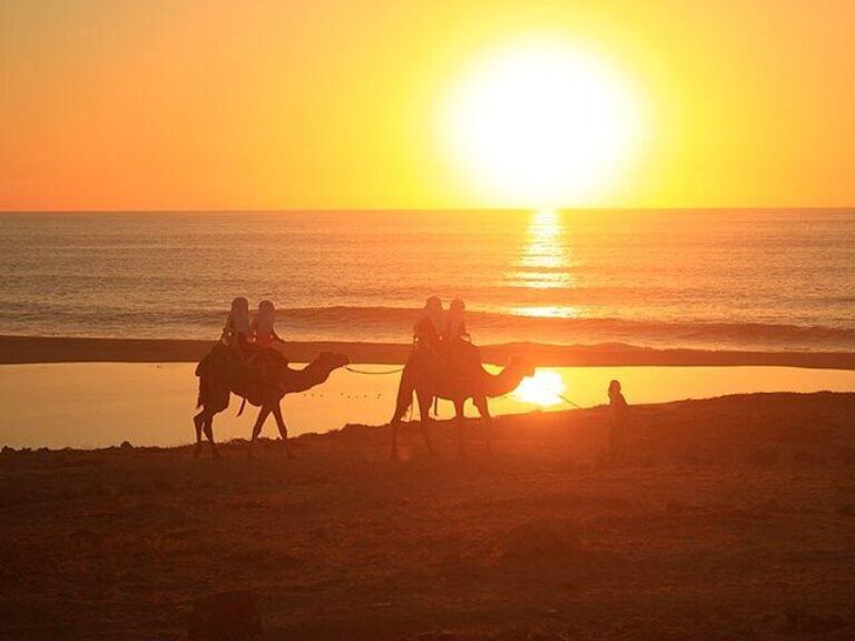 Camel Ride On The Beach at Cabo
