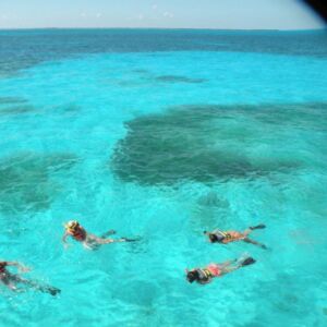 Isla Contoy And Isla Mujeres Tour With Snorkeling From Cancun Or Playa Del Carmen