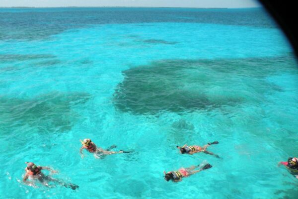 Isla Contoy And Isla Mujeres Tour With Snorkeling From Cancun Or Playa Del Carmen
