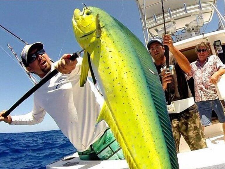 Full-Day Private Fishing Experience in Cabo San Lucas