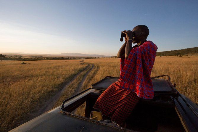 1 Day Maasai Mara - Road Trip Safari
