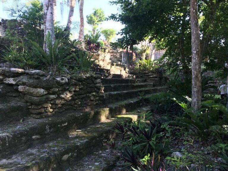 1 Day Combo Tour: Kohunlich and Dzibanche Mayan Cities With Certified Guide
