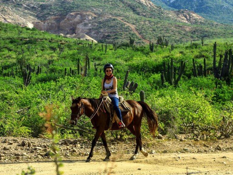 2 Hours Horseback Riding Adventure in Cabo