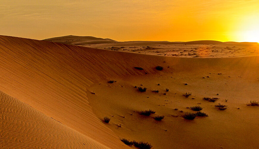 Liwa Oasis is one of the United Arab Emirates most stunning and romantic desert landscapes. Located in the far south-west of Abu Dhabi, Liwa Oasis is home to some of the UAE's tallest sand dunes. The Liwa Desert is also one of the world's largest uninterrupted sand deserts. The picturesque landscape is a popular spot for tourists and photographers alike. Liwa Oasis is also well known for its Bedouin culture and hospitality. Visitors can enjoy traditional Arabic food and music, as well as camel rides and henna painting. Whether you're looking for a romantic getaway or an adventure in the desert, this amazing place is the perfect destination.