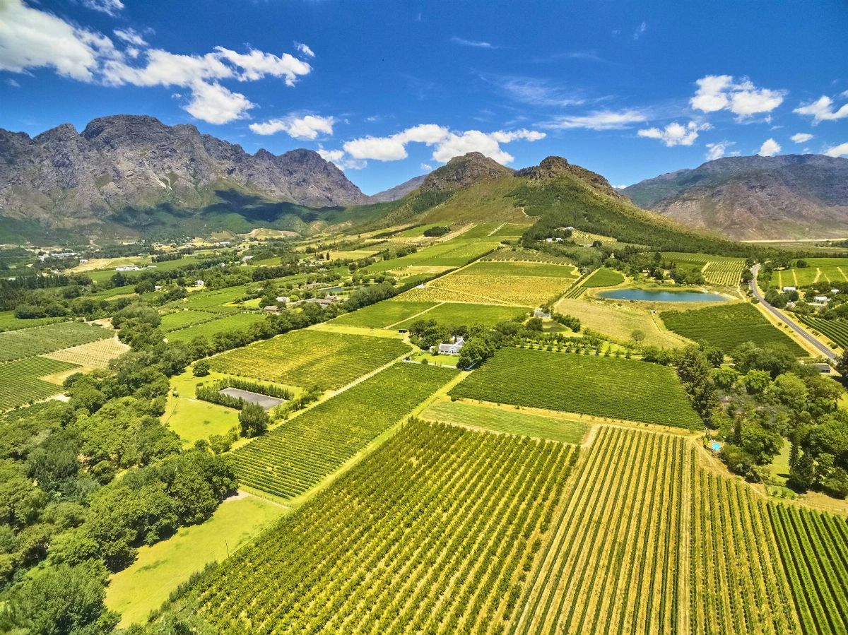 Full Day Cape Winelands Tour