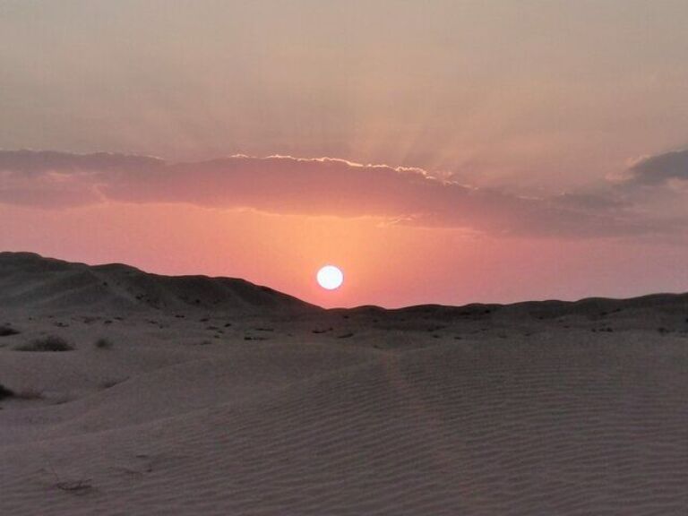 Half Day Guided Desert Tour (Sunset).