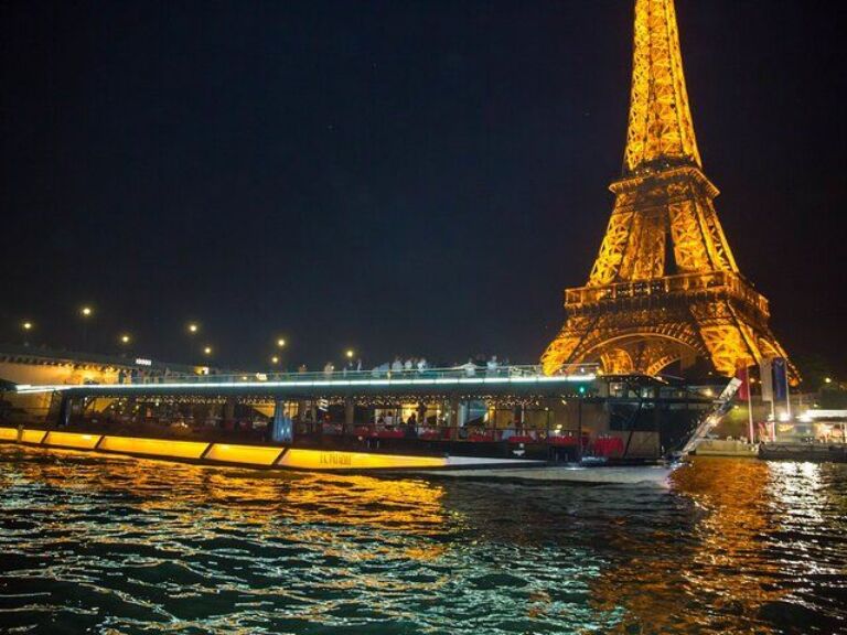 Private illumination Tour in Paris with Indian Dinner hotel Pickup