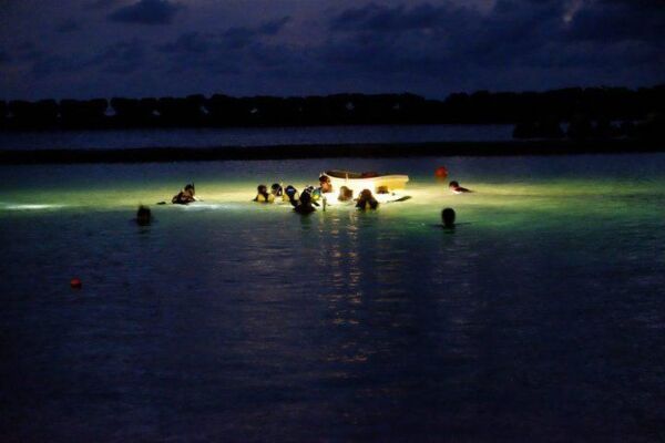 Night Snorkeling Experience in Mirissa