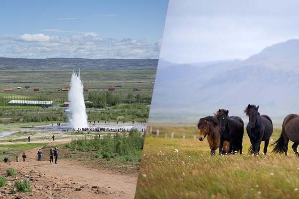 GOLDEN CIRCLE AND HORSES