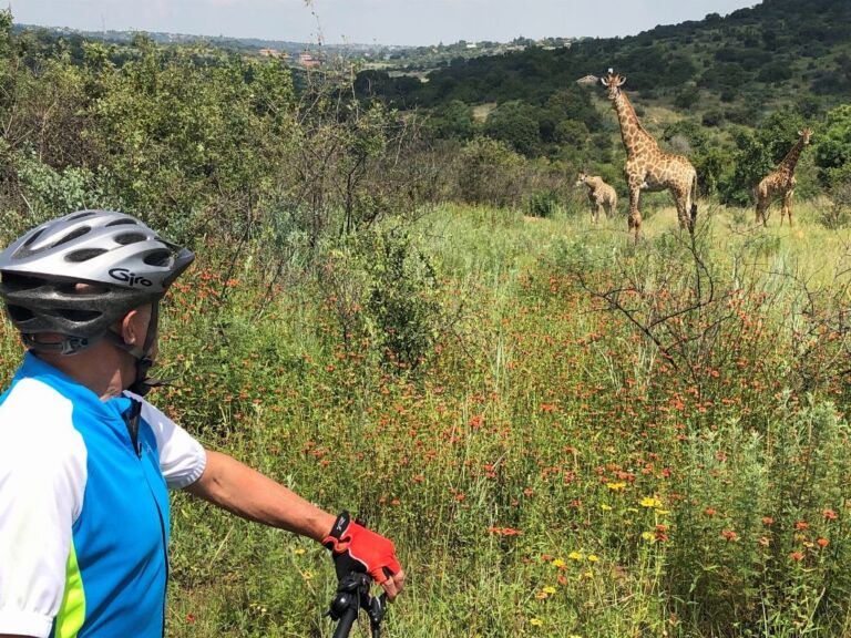 e-Biking With Wild Game Near Johannesburg