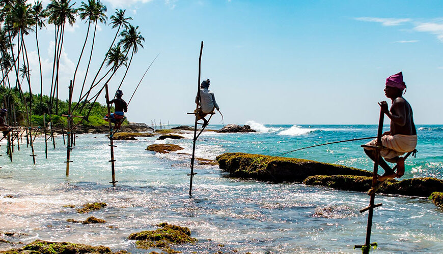 Weligama is a town in the Southern Province of Sri Lanka. It is located on the Weligama Bay, and is a popular tourist destination. Weligama is home to several beaches, including the Weligama Beach, Mirissa Beach, and Midigama Beach. There are also many temples and historical sites in Weligama, such as the Weligama Raja Maha Viharaya and the Weligama Wewa. Weligama is also a good base for exploring the surrounding area, including the nearby town of Galle.