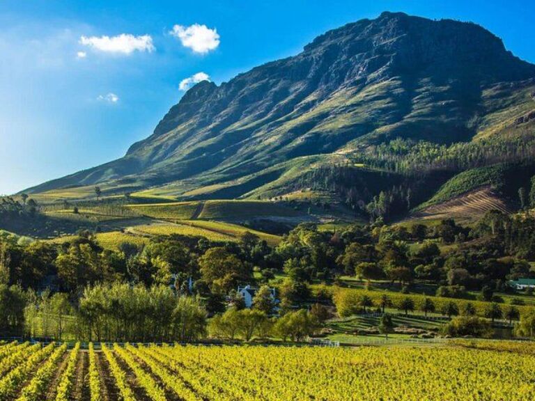 ( Cape Town 3-Days Attraction ) Cobra Car Ride And Cape Point & Wine Tasting