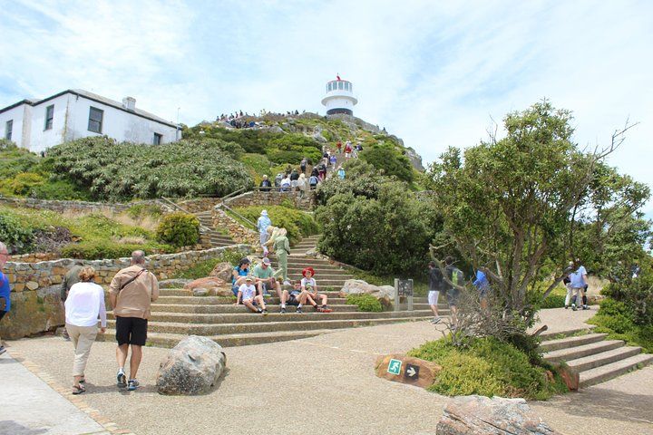 Private Cape of Good Hope, Penguins, Table Mountain and the wineries 2 days