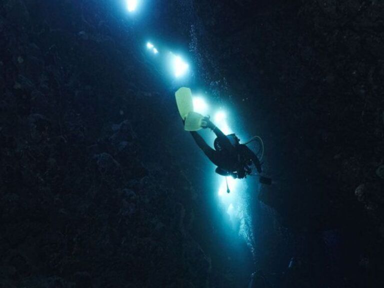 Scuba Diving at night in Mirissa