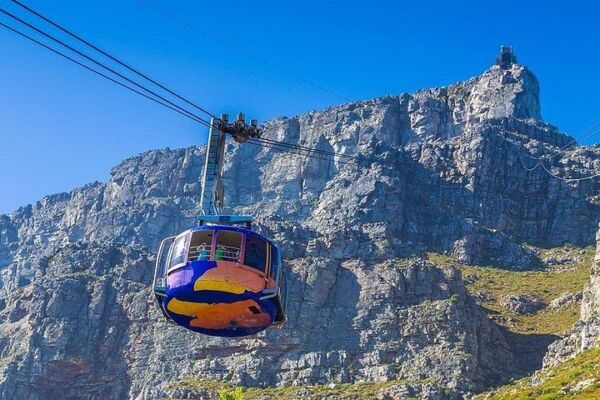 (Cape Town Private Tour )Table Mountain Cable Car And Cape Point Penguins