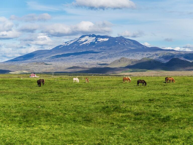 South Coast And Glacier Ride: This is the perfect tour for those seeking a bit extra thrill while ticking off some of Iceland’s must-sees. The tour offers a fun, scenic and comfortably challenging snowmobiling ride. It is a great way to explore and experience the wilderness and get in touch with the glacier.