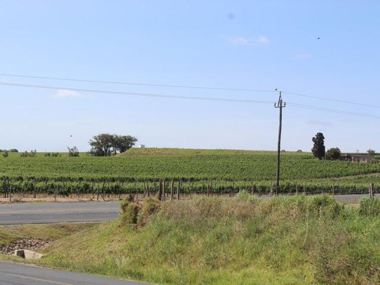 Private Cape of Good Hope Wineries T/Mountain Price per car/group 2 days