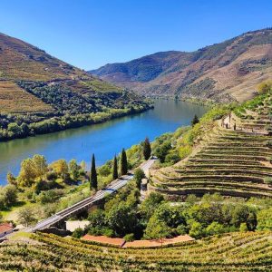 Live Douro - Private Tour | All Included.
