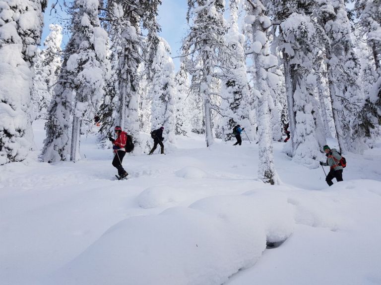 Snowshoe hike in forests and fells.