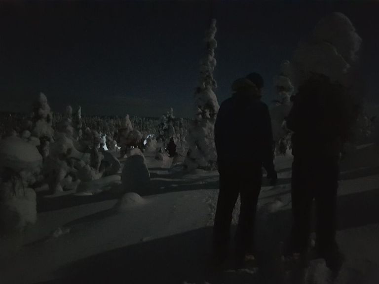 Night sky tour with snowshoes - private.