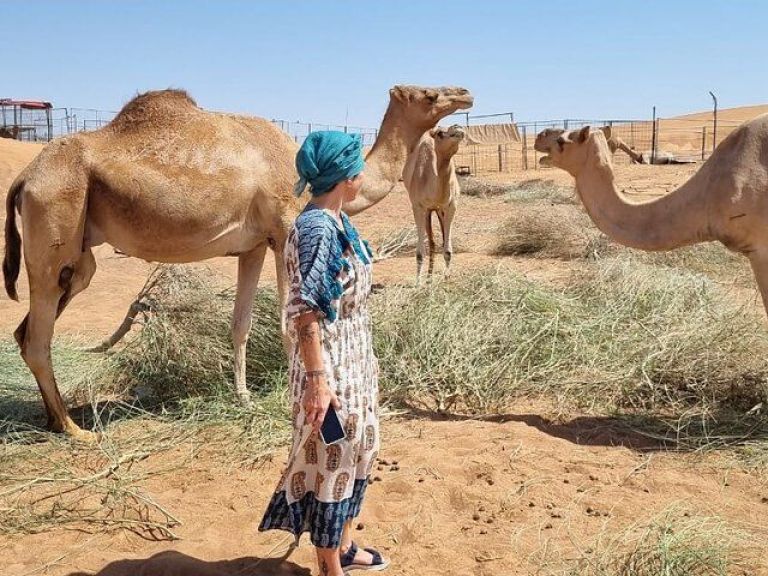 Camel Ride Safari in Red Dunes.