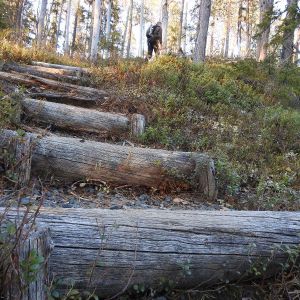 Waterfalls, rapids and sceneries of Kuusamo - daytour.