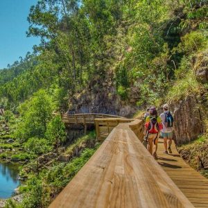 Paiva Walkways - Bridge 516 - Full Day Private Tour | All Included.