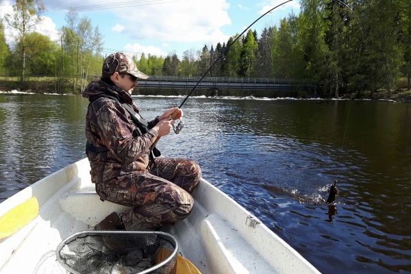 Guided Fishing in Kuusaa River