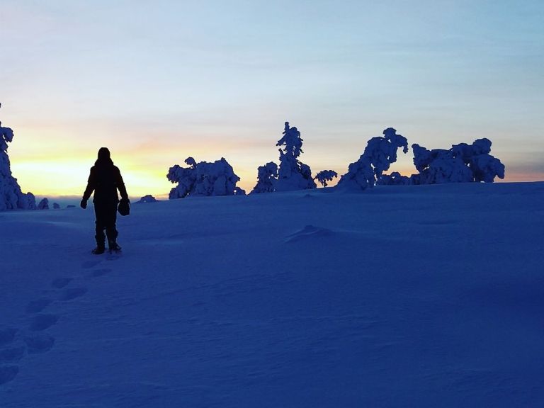 Sunrise or sunset tour with snowshoes in Riisitunturi National Park.