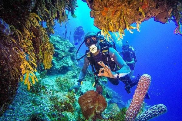 Scuba Diving at Catalina Island – All Inclusive – Full Day Tour