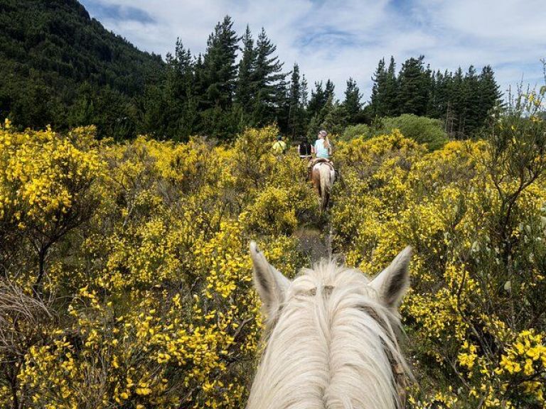 Horseback Riding In Montain - Private Tour - Full Day - All Included.