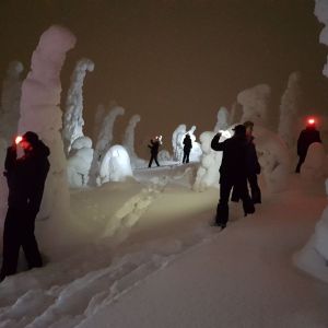 Snowshoeing in the evening.