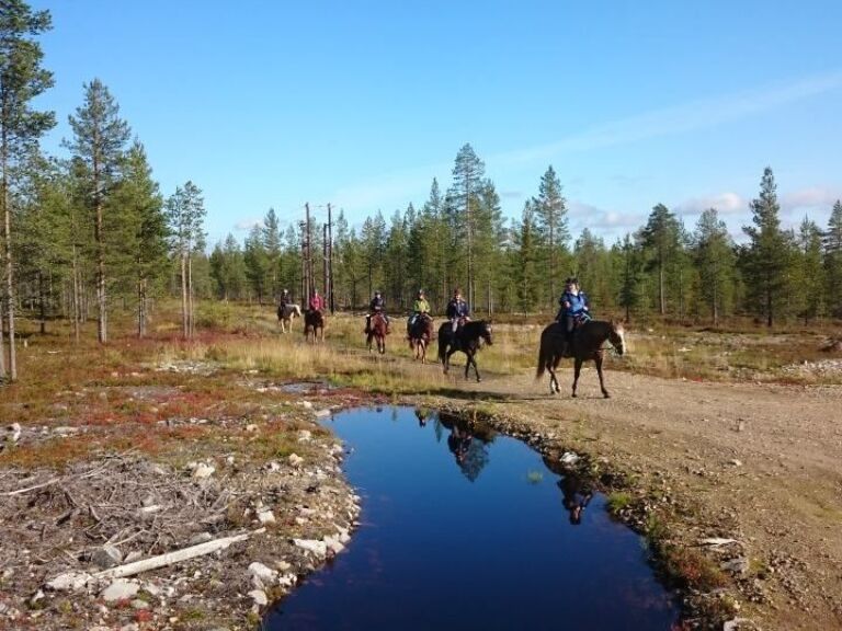 Small group horseback riding to Soutaja fell 2h.