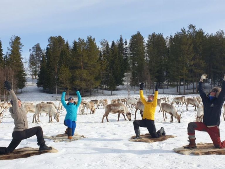 Reindeer yoga.