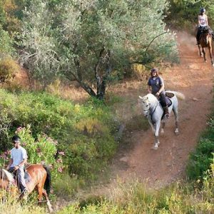 Horseback Riding In Montain - Private Tour - Full Day - All Included.