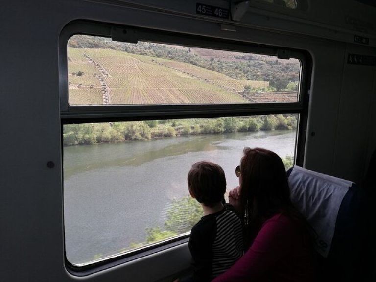 Douro Experience - Boat and Train Ride - Lunch and Wine Tasting - All Included.