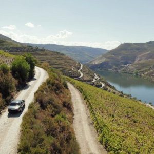 Douro Luxury - Douro Private Cruise with Premium Winery and Restaurant.