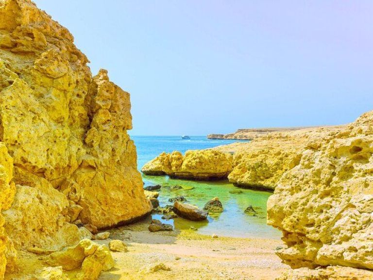 Ras Mohammed National Park Half Day Tour by Bus - Sharm El Sheikh.