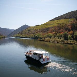 Douro Experience - Boat and Train Ride - Lunch and Wine Tasting - All Included.