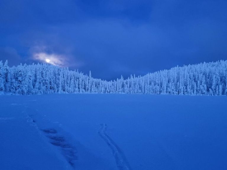 Snowshoeing in the evening.