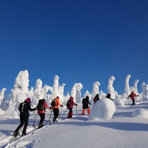 Snowshoe hike in forests and fells.