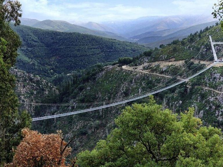 Paiva Walkways - Bridge 516 - Full Day Private Tour | All Included.