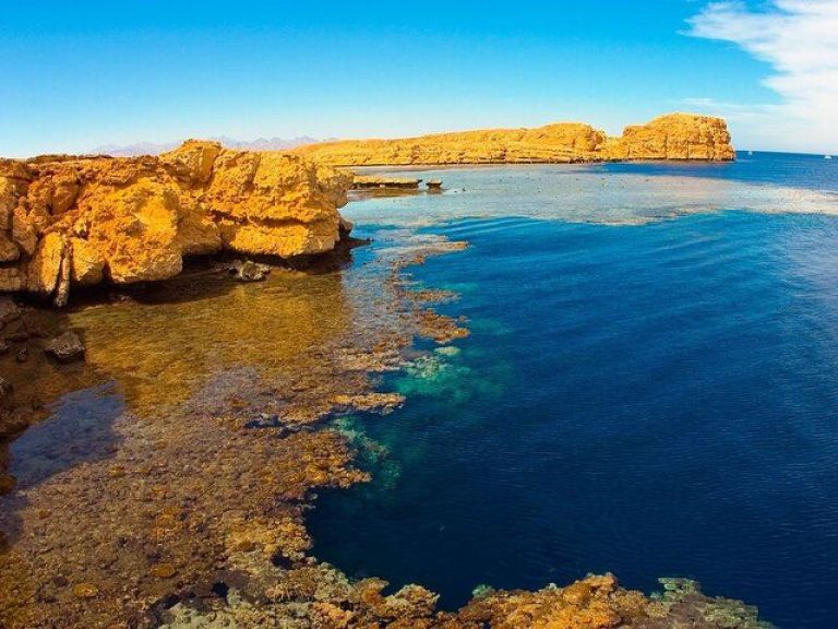 Ras Mohammed National Park Half Day Tour by Bus - Sharm El Sheikh.